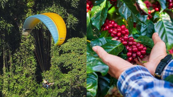 PARAGLIDING OVER GUACAICA JUNGLE AND COMPLETE COFFEE private experience from Guatape