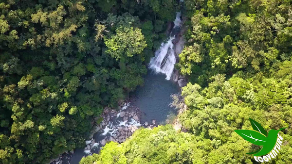 La Planta waterfall hiking and swimming
